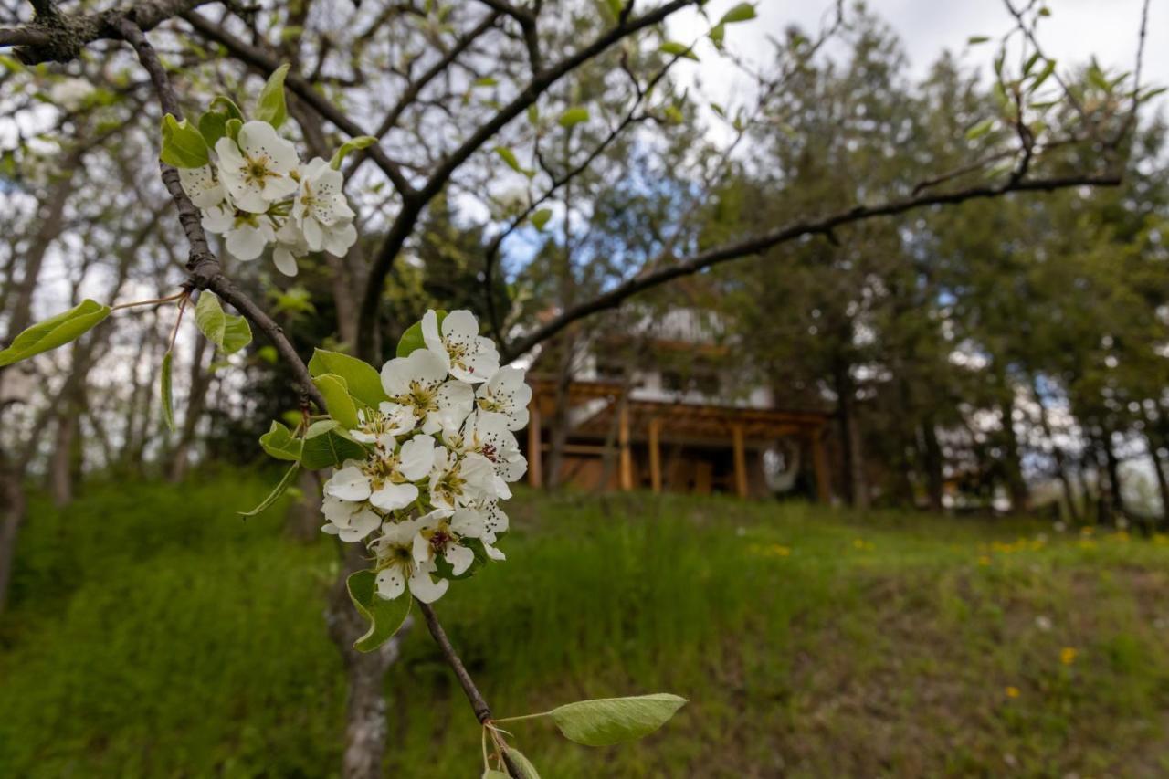 Egercottages - Csillag Cottage Kültér fotó
