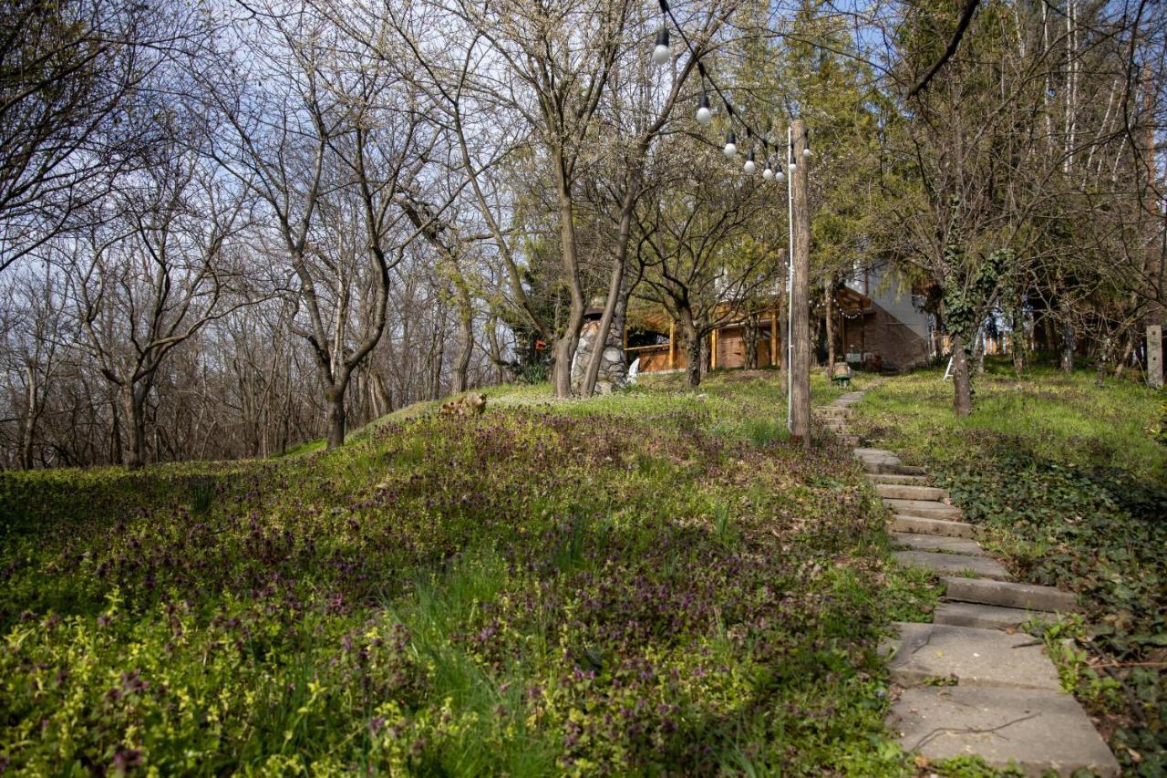 Egercottages - Csillag Cottage Kültér fotó
